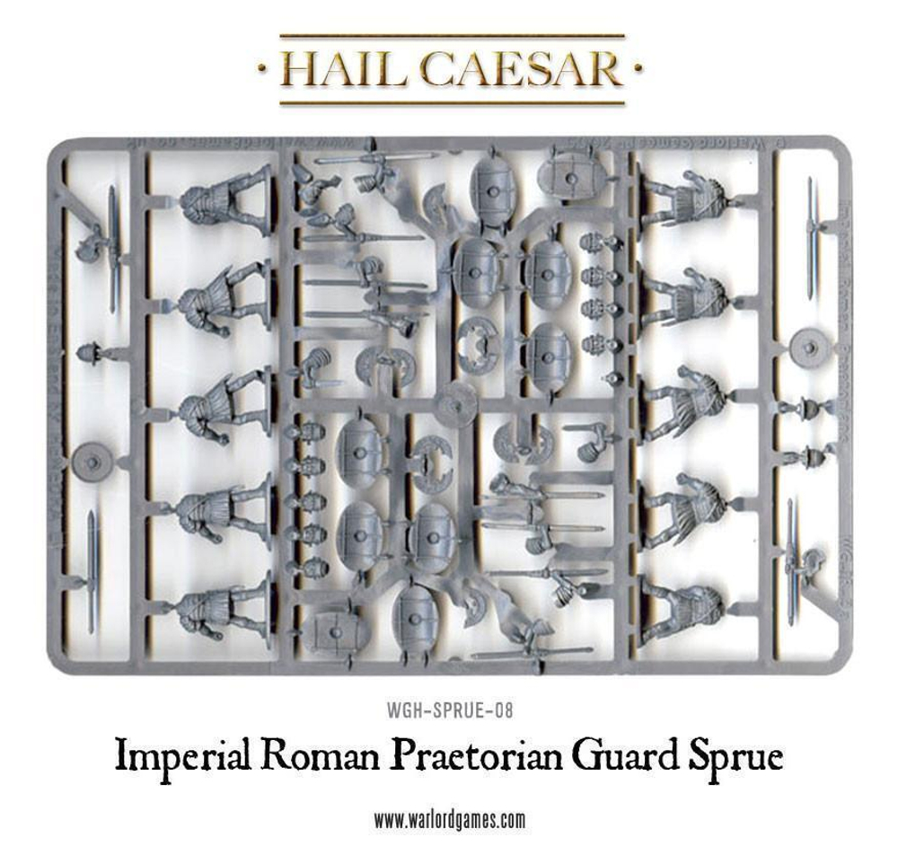 Imperial Roman Praetorians (20 plus Emperor)