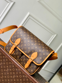Louis Vuitton Satchel Messenger