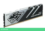 Оперативная память Apacer Panther DDR5 32GB (AH5U32G60C6227BAA-1)