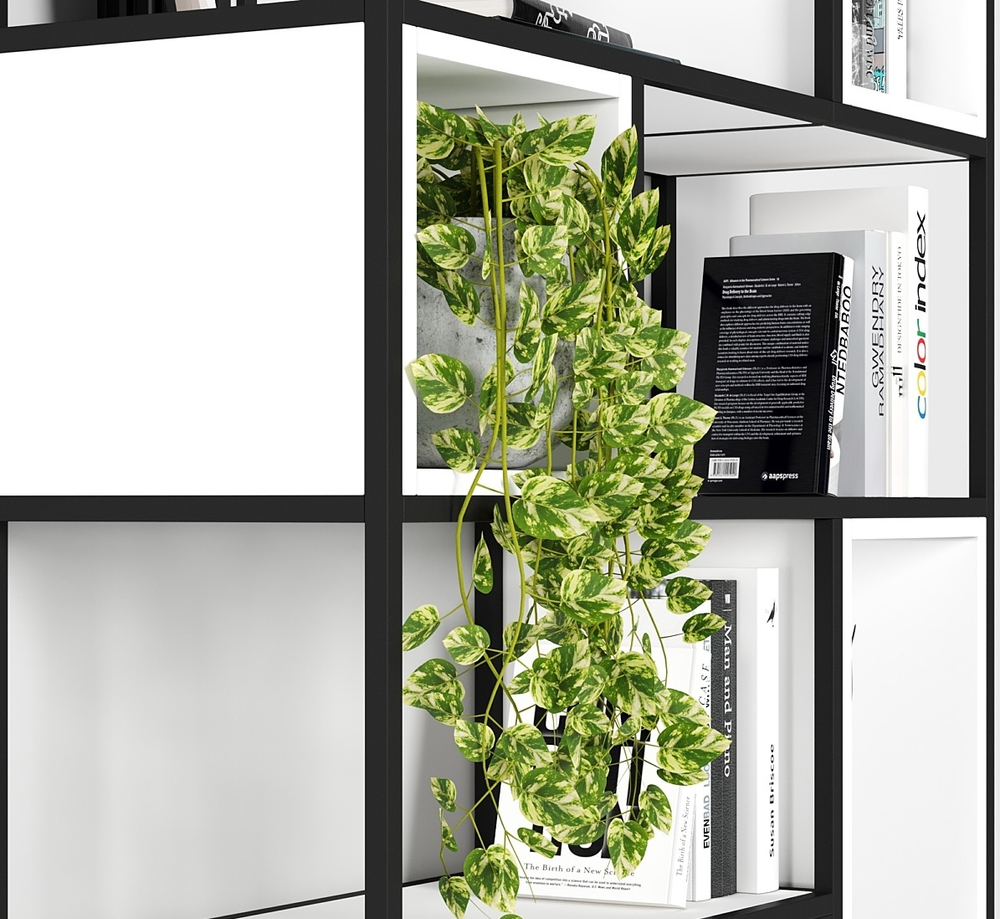 стеллаж RACK&BOOKCASE