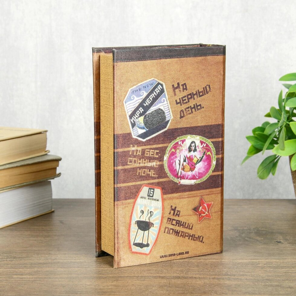 Сейф книга Неприкосновенный запас 21*13*5 см