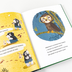 Планируй как панда Пула. История про бамбуковый лес + Серия по финансовой грамотности для детей