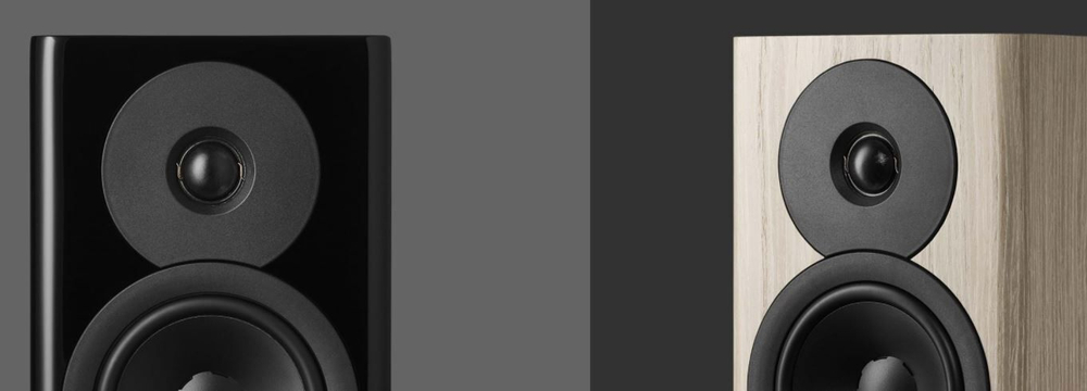 Акустическая система Dynaudio Evoke 10