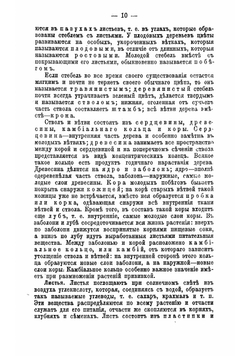 Справочная садовая энциклопедия. Пособие для любителей садоводства, плодоводства, огородничества и комнатных культурных растений | Штейнберг Павел Николаевич