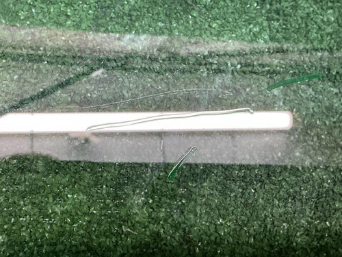 Стекло двери переднее левое BMW X1 F48 (2015-2022)