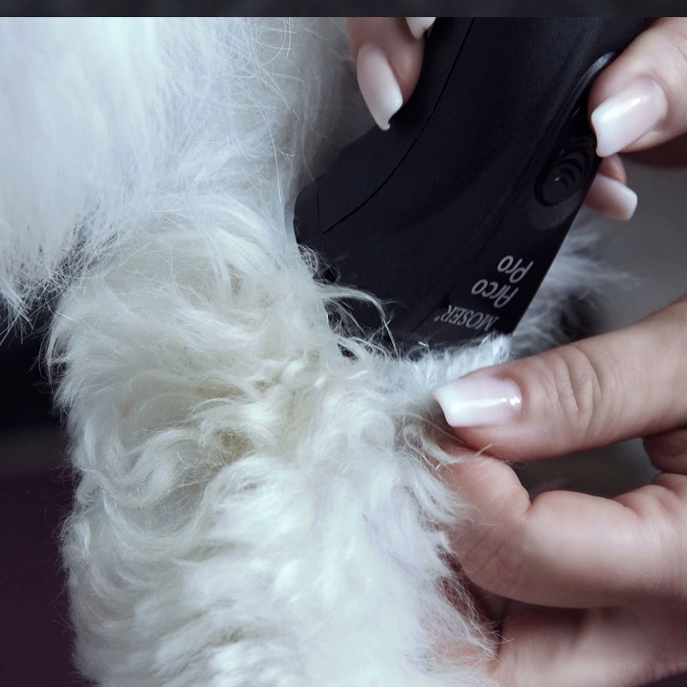 Машинка для стрижки животных Moser Arco Pro (1876-0063) - 14