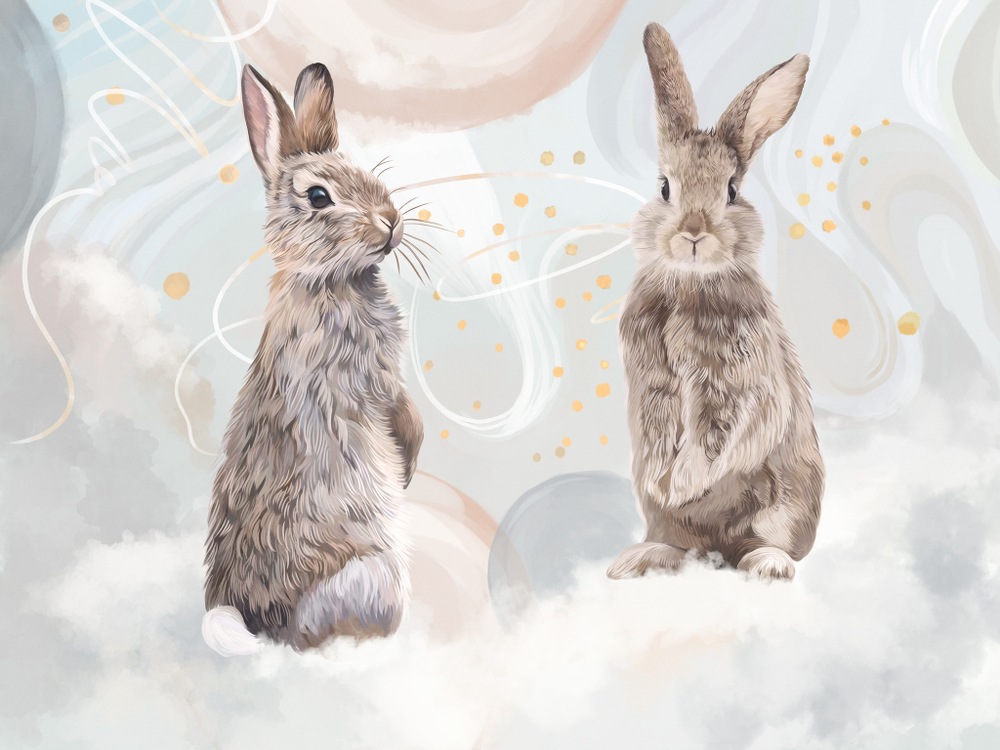 Коллекция FAUNA ZOOM