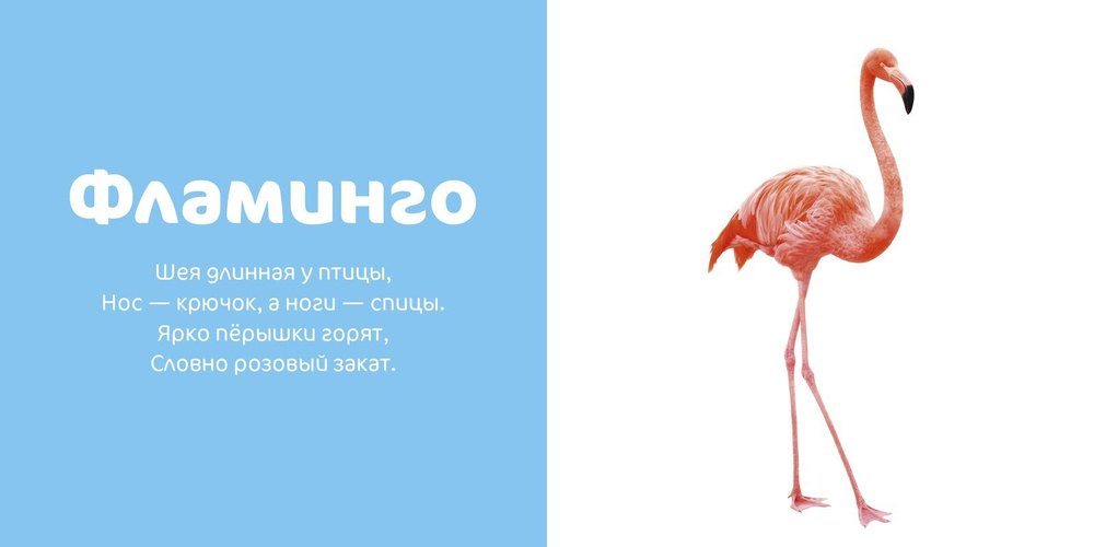 Мир вокруг меня. Любимые животные. Фотокнига