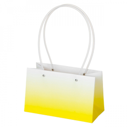 Пакет ПРЯМОУГОЛ 22*10,5*13,5см ГРАДИЕНТ