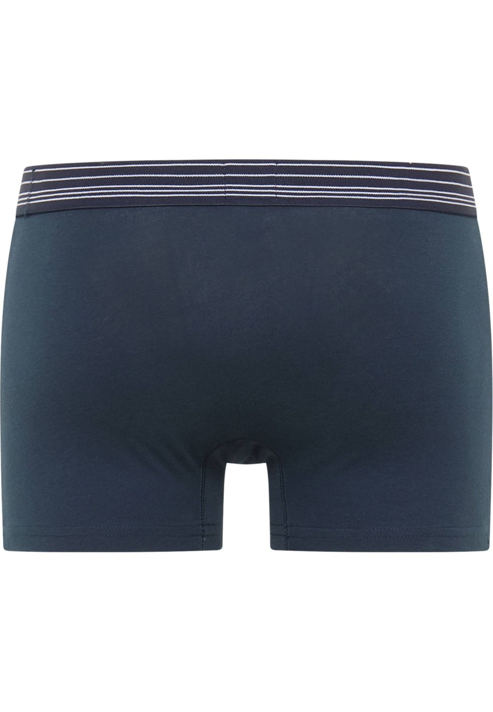 Трусы ( набор 3 шт. ) мужские MUSTANG Mustang Palm retro 3 pc pack