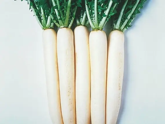 ЭПРИЛ КРОС F1 семена дайкона ( Takii / ALEXAGRO ) – фото 3