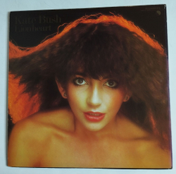 Винтажная виниловая пластинка LP Kate Bush Lionheart (Japan 1978) (No Obi)