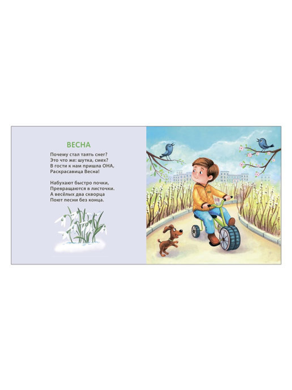 Книжки - картонки. Времена года