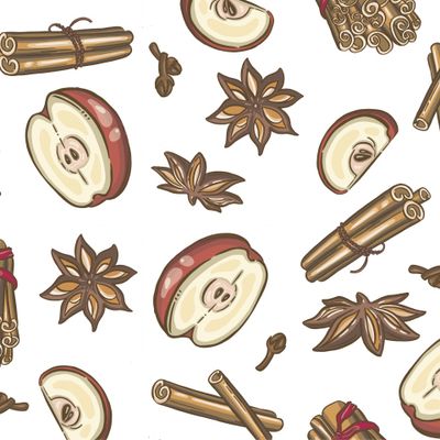 Christmas spices, star anise and apple illustration