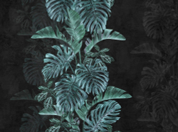 Коллекция SELVA