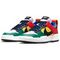 NIKE Dunk Disrupt Кроссовки для скейтбординга Низкие Женские