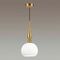 Подвесной светильник Odeon Light Pendant Runga 4767/1