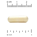 California Gold Nutrition, маточное молочко, сублимированный концентрат, 500 мг, 120 растительных капсул