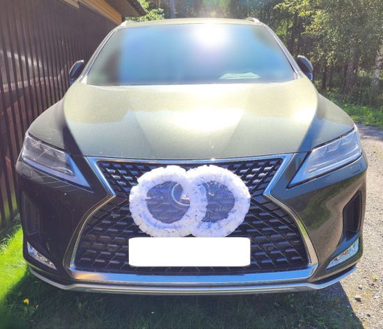 Свадебные кольца для украшения машины, белые