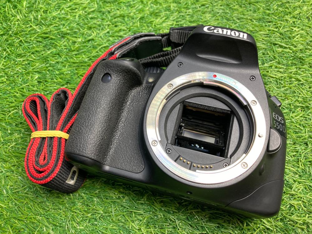 Canon 550D + 18-55mm 3.5-5.6 IS II (12.500 кадров)