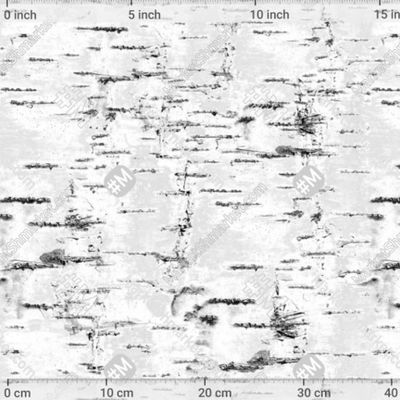 Берёзовая Кора by KateVasilchenko 280 DPI