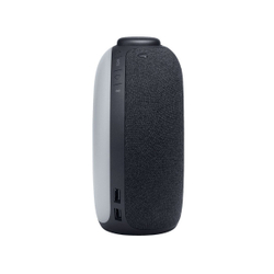 Портативная колонка JBL Horizon 2 Black