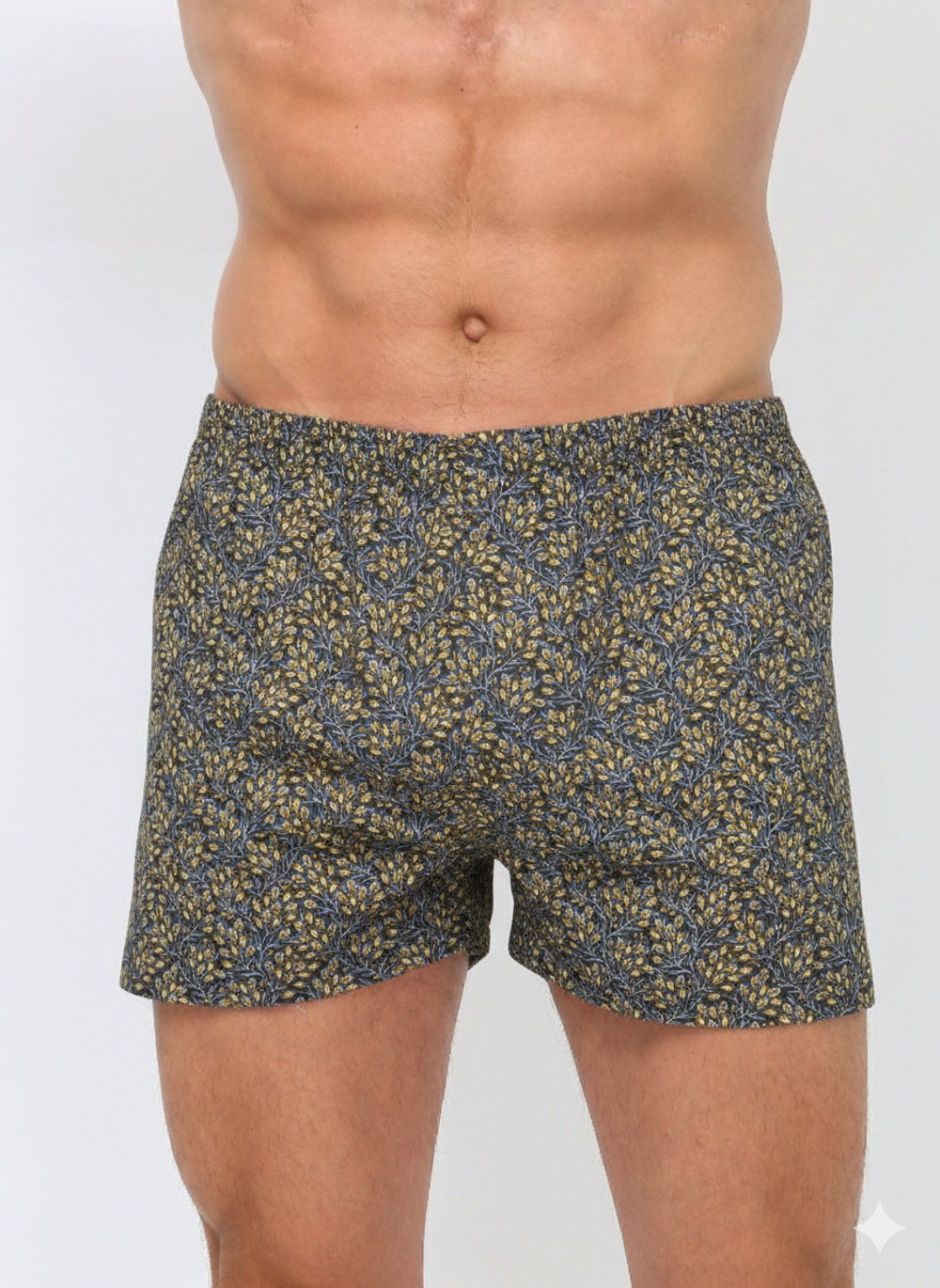 Трусы семейные ситец Шуя