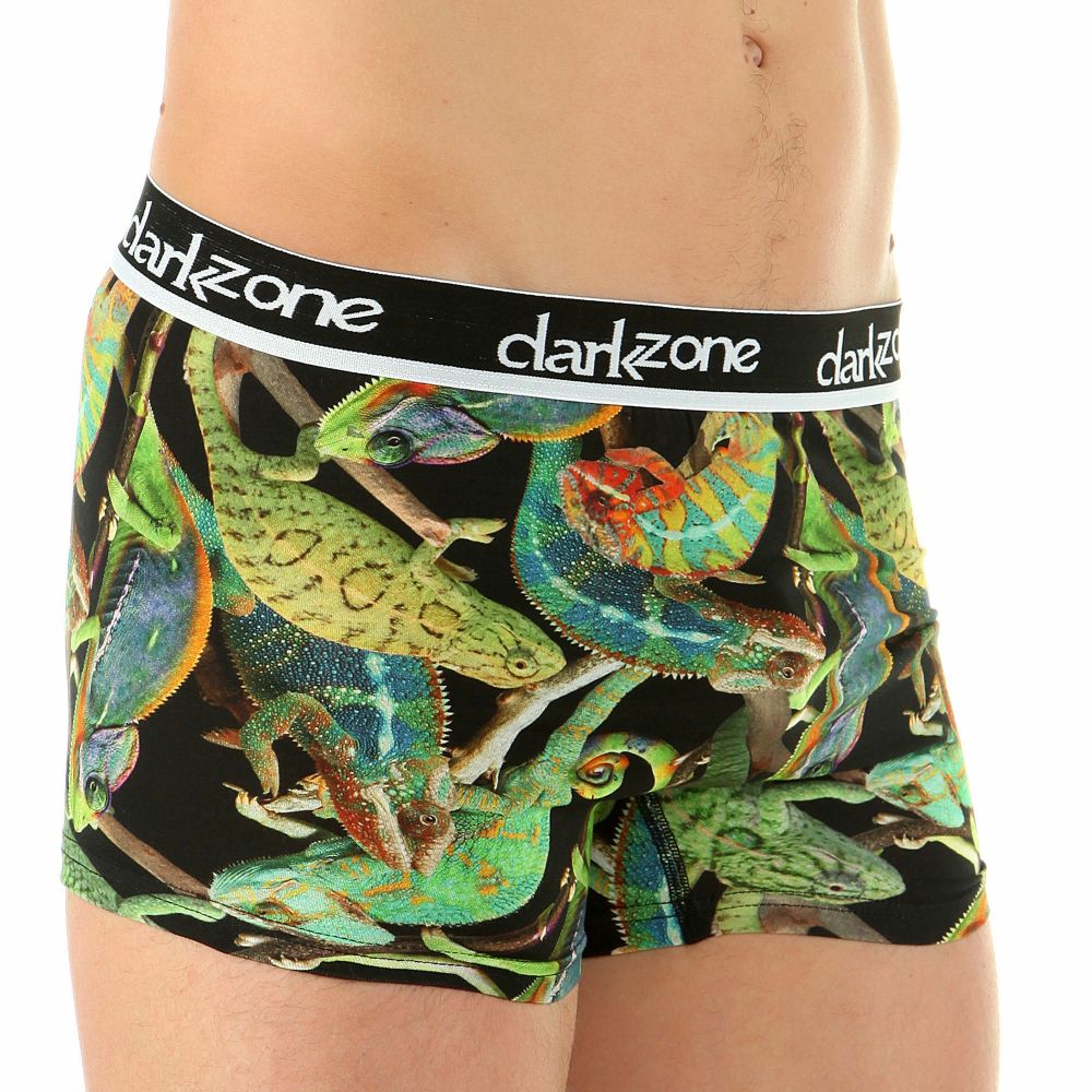 Мужские трусы боксеры с принтом  DARKZONE DZN1510