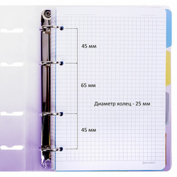 Тетрадь на кольцах А5 175х220мм, 120л, пластик, с разделителями, BRAUBERG, Фиолетовый, 404627