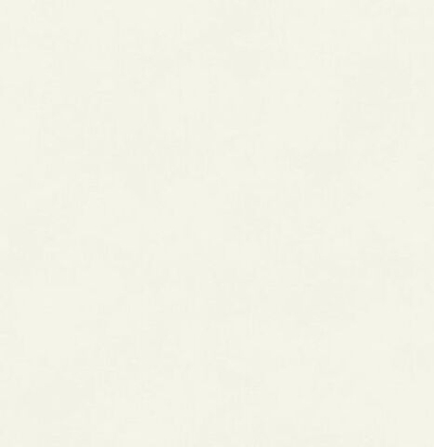 Обои матовые с иммитацией штукатурки BLONE1009