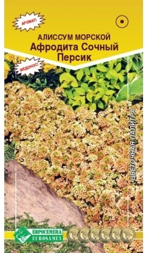 Алиссум морской Афродита Сочный персик