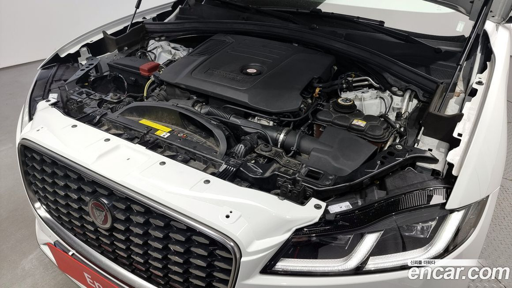 Jaguar F-PACE D200 SE (06.2022)