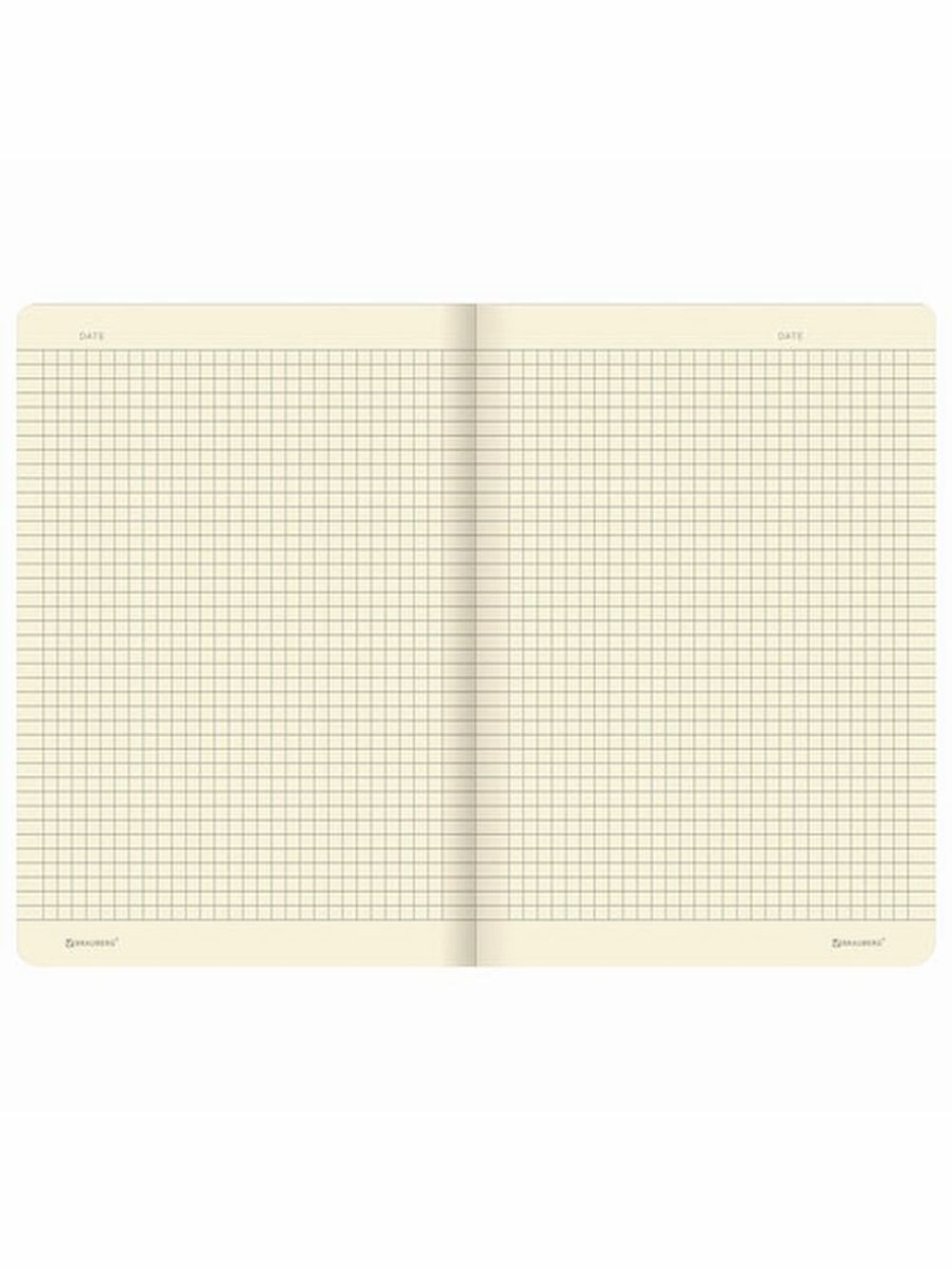 Тетрадь 40 л. в клетку обложка SoftTouch, бежевая бумага 70 г/м2, сшивка, А5 (147х210 мм), ЛИМОНЫ, BRAUBERG, 403771