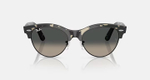 RAY-BAN CLUBMASTER WAY RB2341 143371