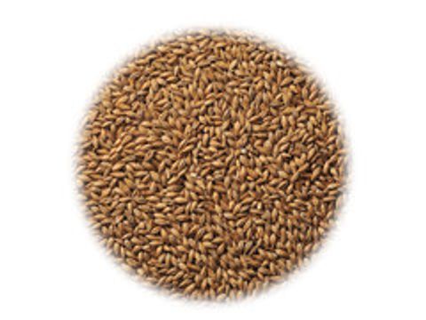 Солод Simpsons Best Pale Ale (Бест Пэйл Эль)