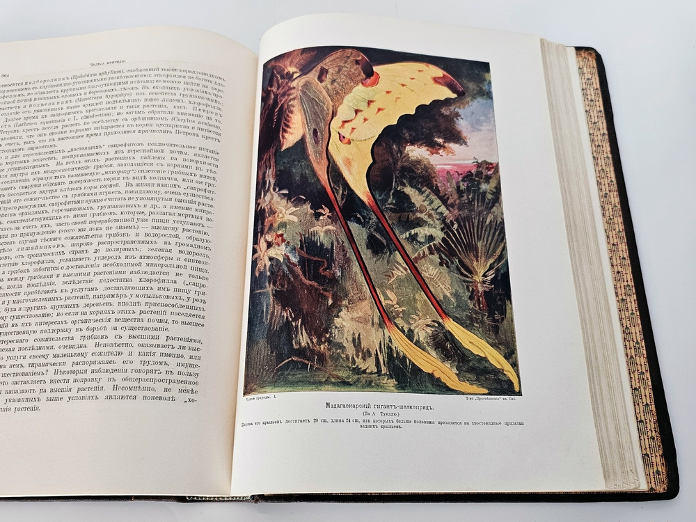 "Чудеса природы". 1914 г.