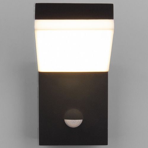 Уличный настенный светильник Elektrostandard 1541 TECHNO LED черный