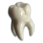 Форма пластиковая Зубик