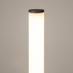 Напольный светильник (торшер) Maytoni MOD277FL-L24GR3K