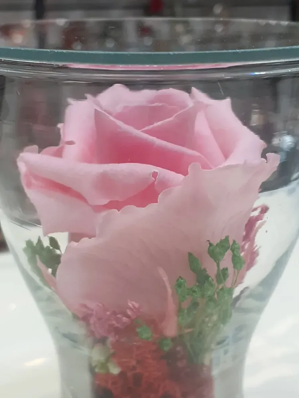 натуральная роза в стекле, вакуум*