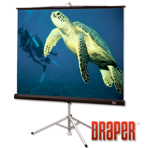 Мобильный экран Draper Diplomat/R NTSC (3:4) 244/96" (100", 8') 152х203 XH800E [DR100XH8E]