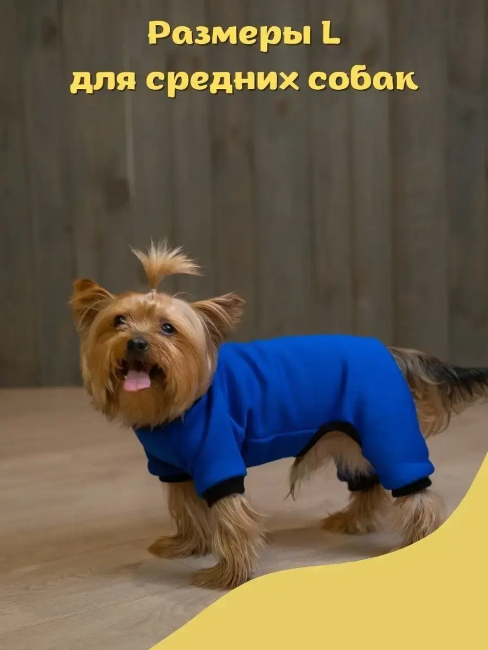 Комбинезон для собак кошек сфинкс кофта костюм для животных