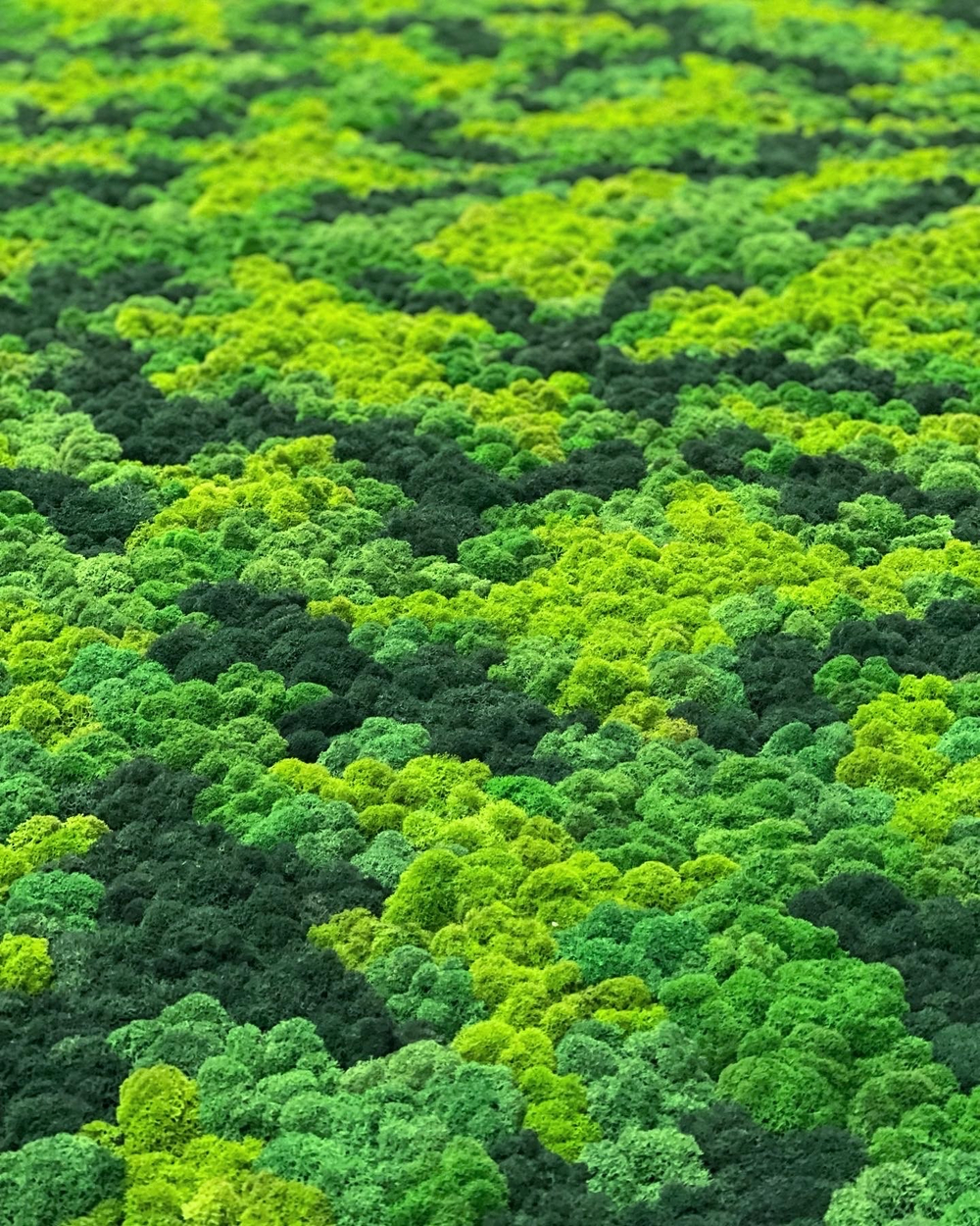 21.12. Зеленая стена из стабилизированного мха ягеля.