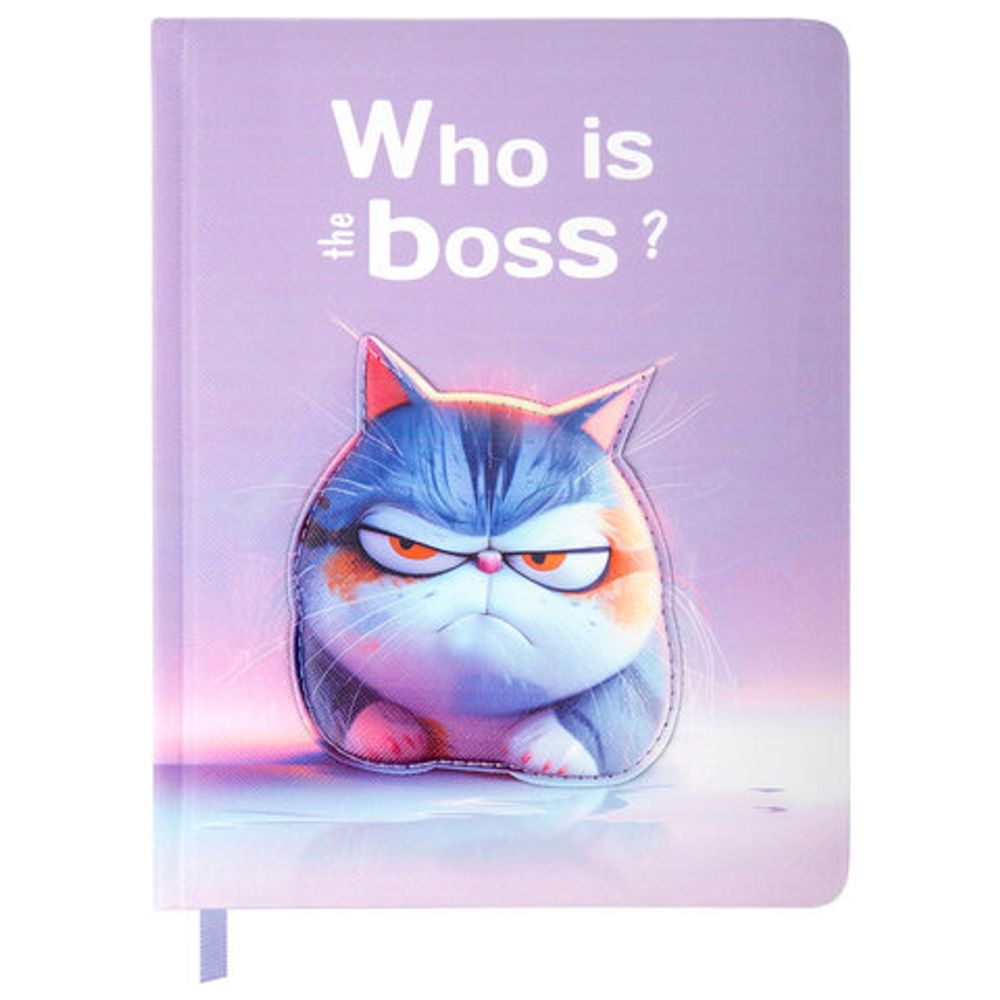 Дневник 1-11 класс 48 л., обложка кожзам (твердая с поролон), 3D-элемент, BRAUBERG, "Суровый кот", 107221