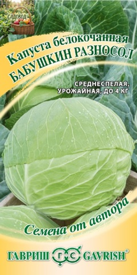 Капуста белокочанная БАБУШКИН РАЗНОСОЛ (для квашения) цв.пак. 0,5гр. Гавриш, Семена от автора