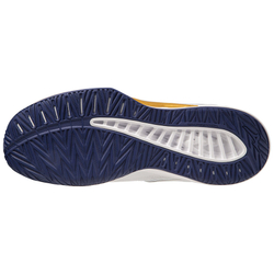 Кроссовки волейбольные мужские MIZUNO Thunder Blade Z V1GA237043, р.UK8 (рос.41), белый