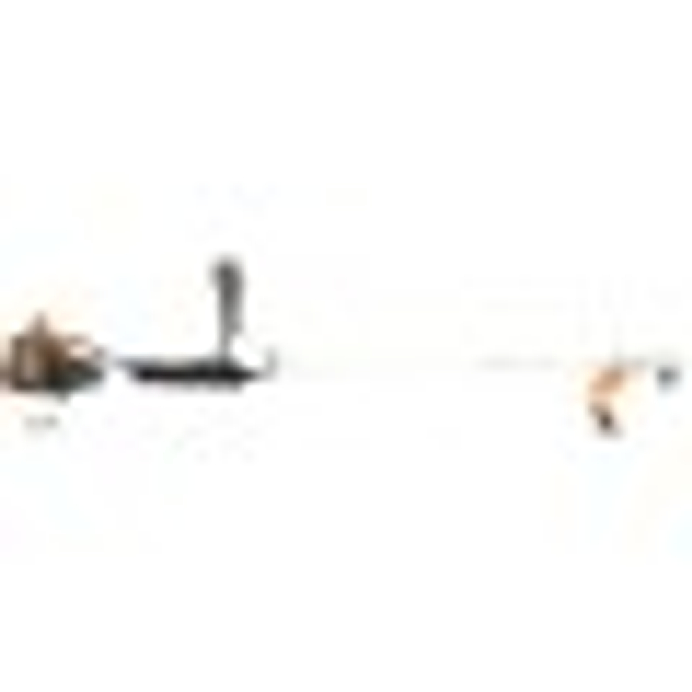 Мотокоса HOLZFFORMA FF541R PRO BC54100PRO