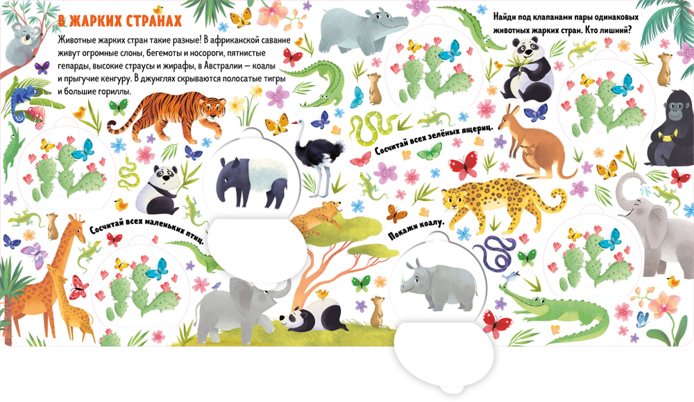 Книжки с клапанами. Животные: найди пары