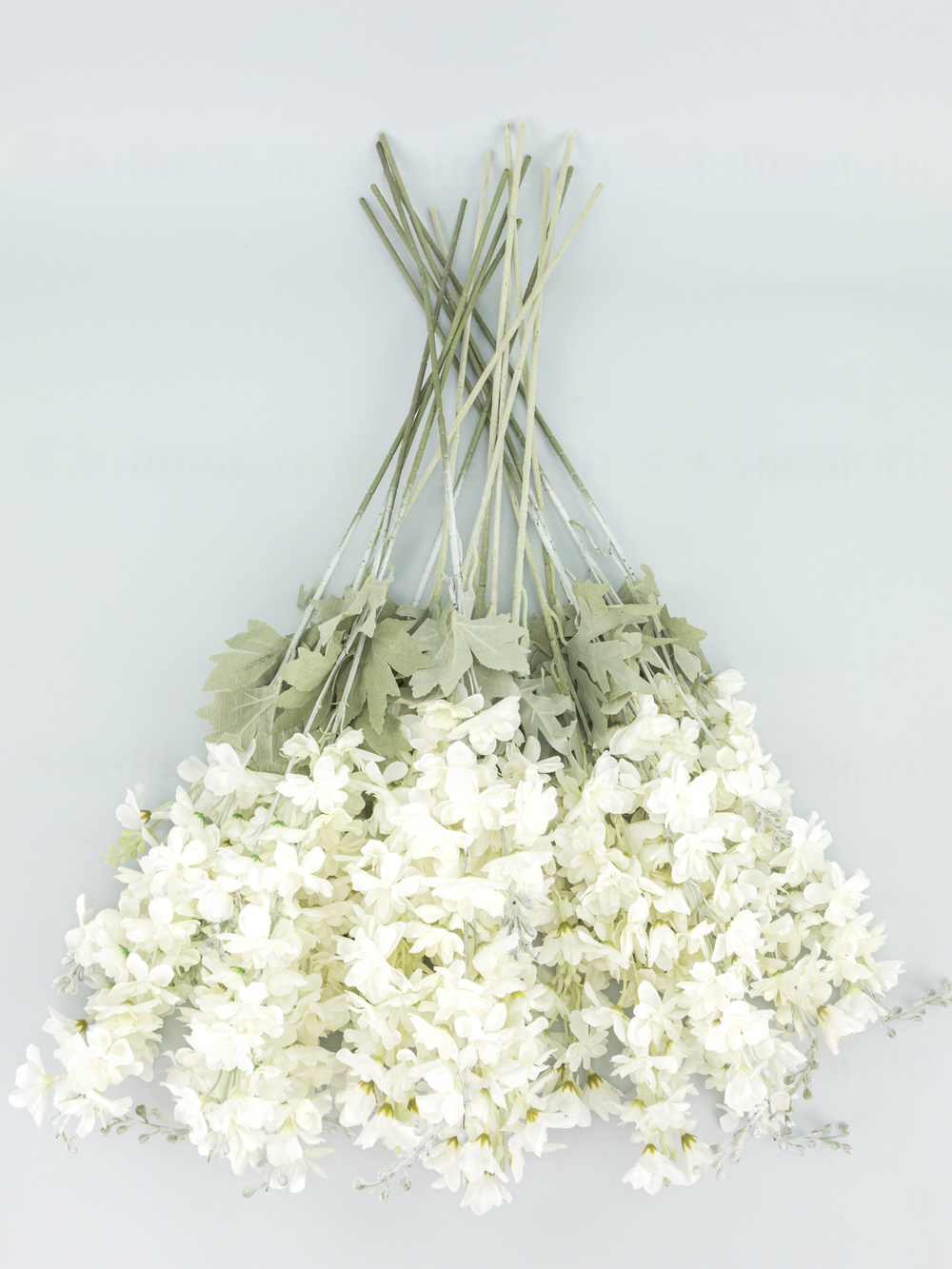 Дельфиниум Эстер уценка (цена за 18 веток)