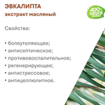 Экстракт эвкалипта, масляный